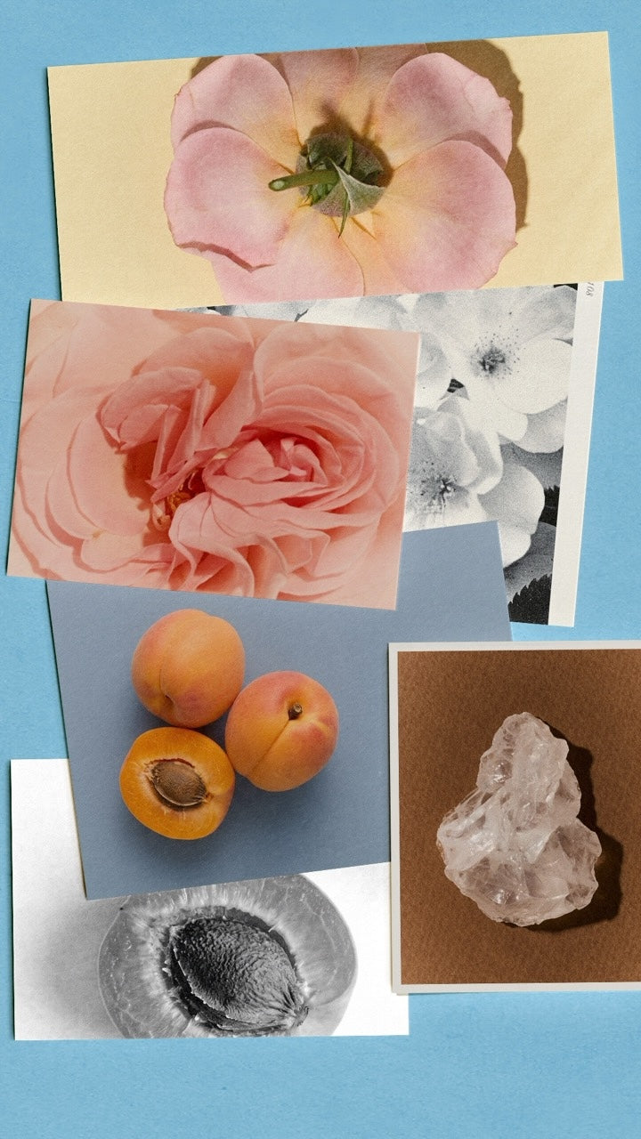 Odéon Rosebud - Focus