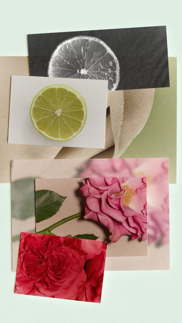 French Leather - Focus