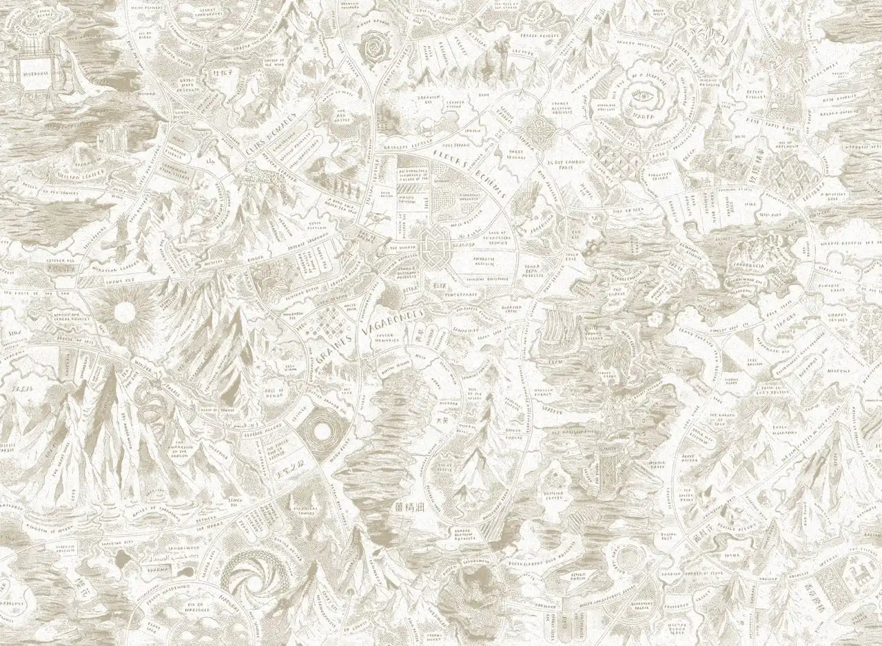 A detailed, fantasy-style map primarily in shades of white and light brown.