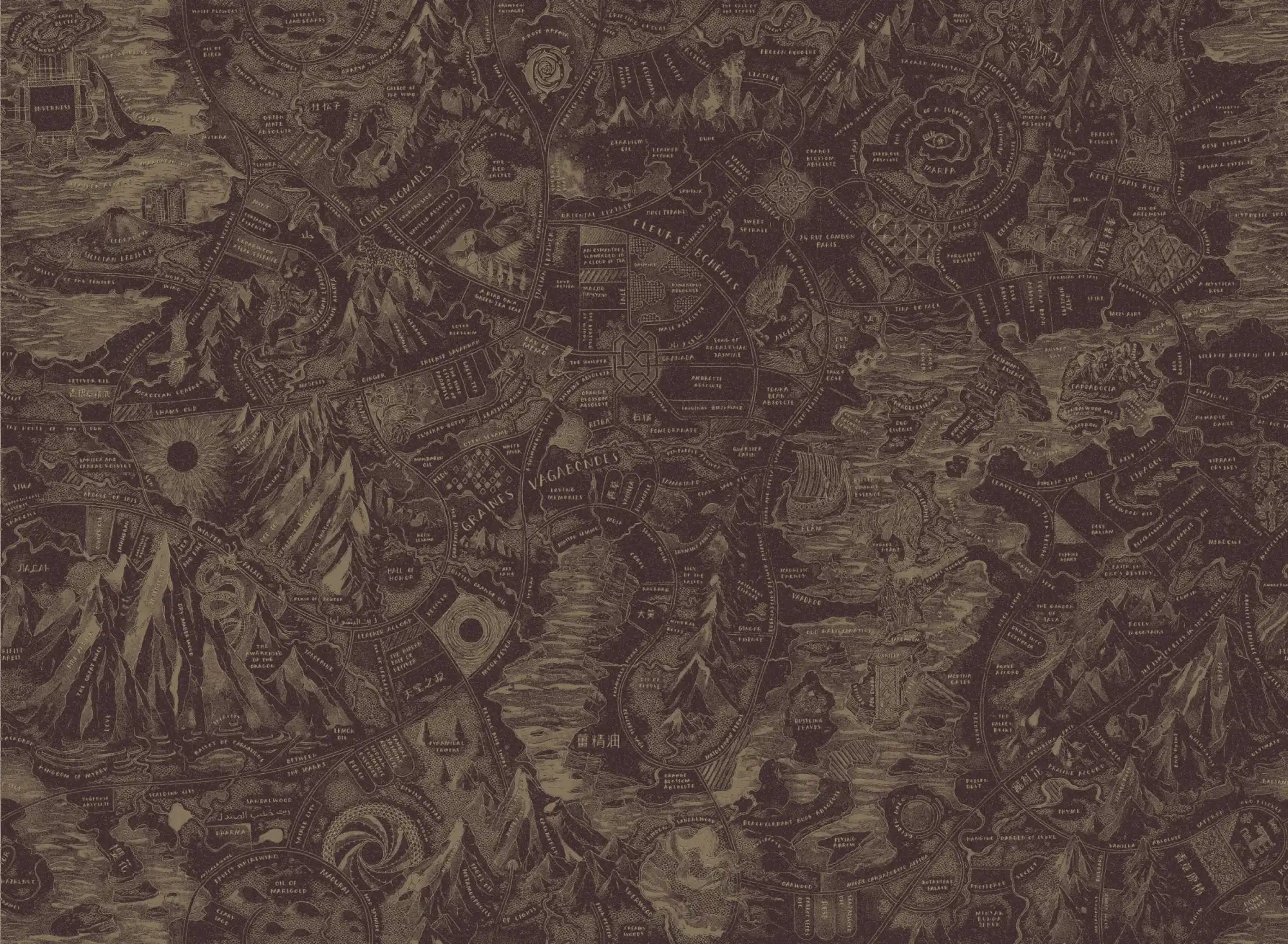 Intricate fantasy map.