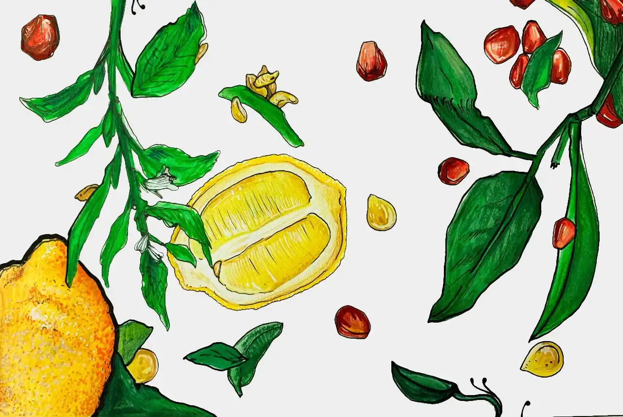 Lemon and pomegranate botanical illustration.