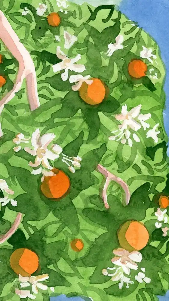 Watercolor orange tree.